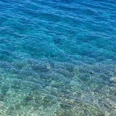 Guest house Sea Primosten